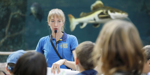 Métier du Zoo : Animateur scientifique - Domaine d'activité : Animalier - Animatrice avec un micro discutant avec des enfants devant un des bassins du Dôme Équatorial