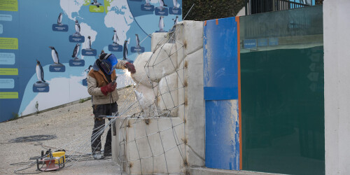 Métier du Zoo : Soudeur - Domaine d'activité : Construction et Rénovation - Soudeur réparant le bassin des manchots au ZooParc de Beauval