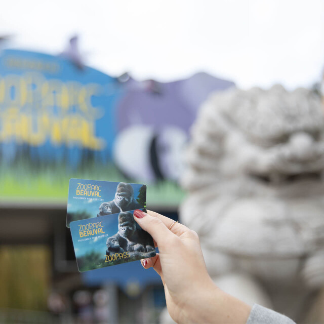 Métier du Zoo : Chargé d’Accueil - Emploi - ZooParc de Beauval - Billets ZooPass devant l’entrée sur ZooParc de Beauval