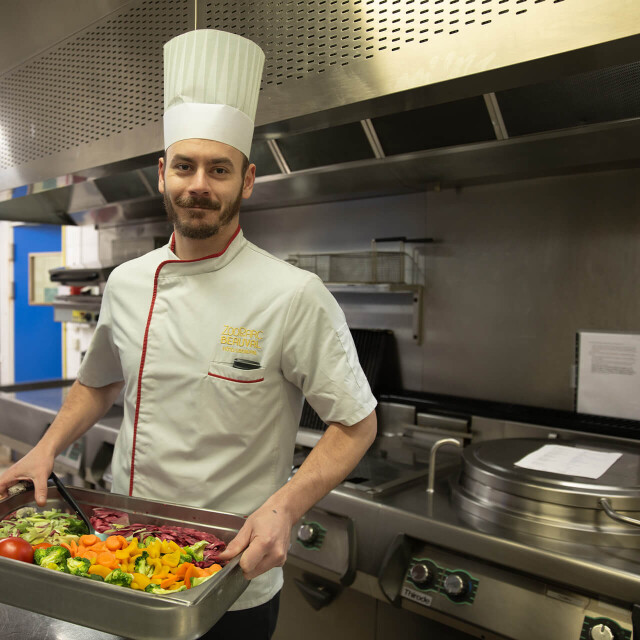 Métier du Zoo : Second de Cuisine - Emploi - ZooParc de Beauval - Second de cuisine aidant à la préparation des plats