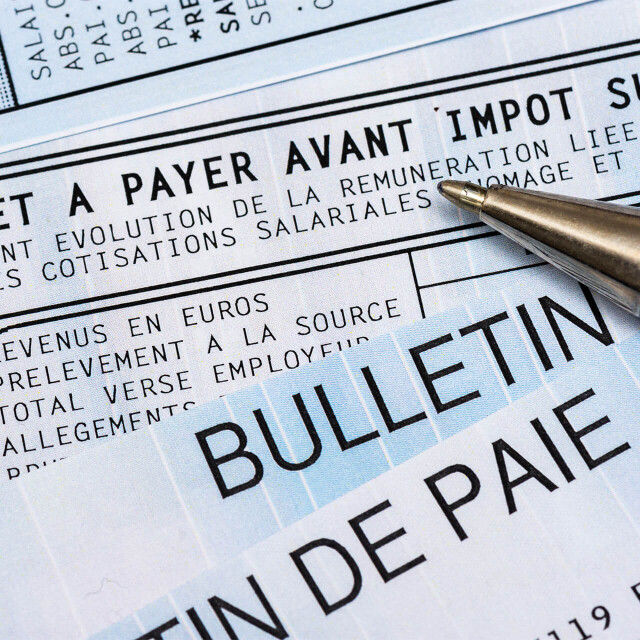 Métier du Zoo : Gestionnaire Paie et Administration du Personnel - Emploi - ZooParc de Beauval - Zoom sur un bulletin de paie