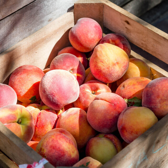 Métier du Zoo : Économe - Emploi - ZooParc de Beauval - Caisse en bois remplie de pêches et de nectarines