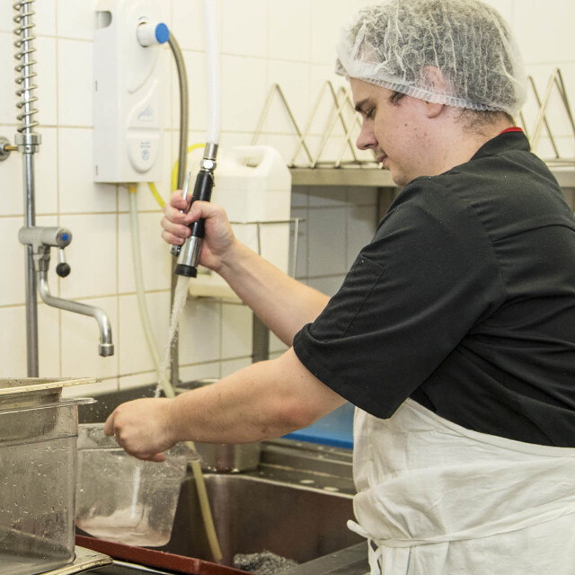 Métier du Zoo : Plongeur - Emploi - ZooParc de Beauval - Employé d’un restaurant nettoyant divers récipients