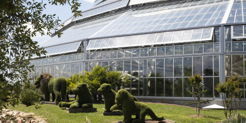 Métier du Zoo : Jardinier Serres Tropicales - Domaine d'activité : Animalier - Famille de lions en végétaux devant le Dôme Équatorial