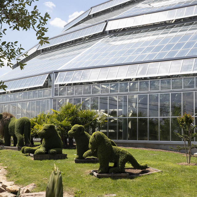 Métier du Zoo : Jardinier Serres Tropicales - Emploi - ZooParc de Beauval - Famille de lions en végétaux devant le Dôme Équatorial