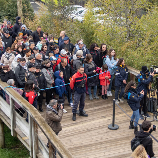 Métier du Zoo : Chef d’Equipe Sécurité - Emploi - ZooParc de Beauval - Sécurité bloquant le passage pour un discours de la direction du ZooParc de Beauval