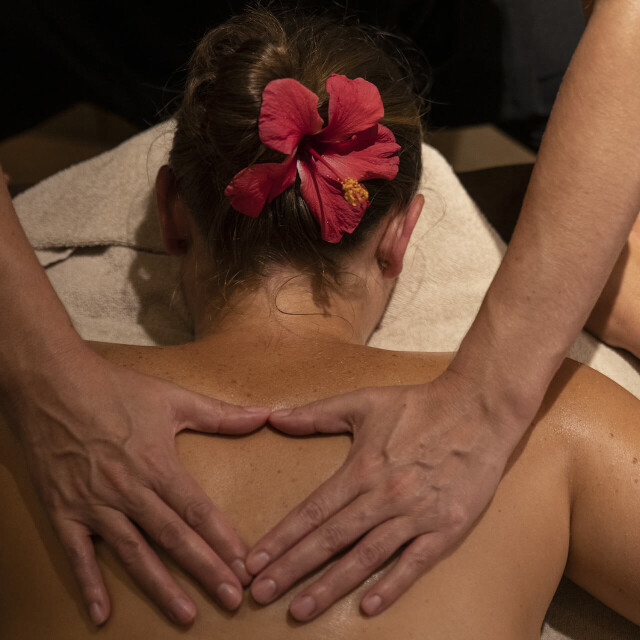 Métier du Zoo : Spa - Emploi - ZooParc de Beauval - Massage du dos au Spa des Jardins de Beauval