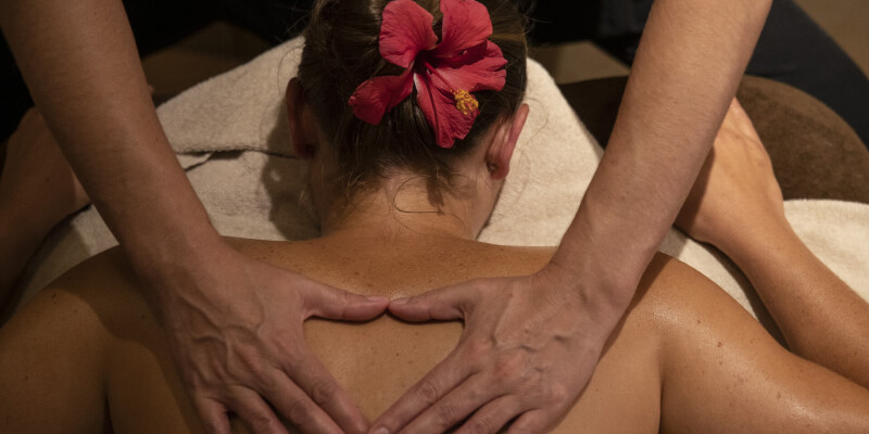 Massage du dos au Spa des Jardins de Beauval