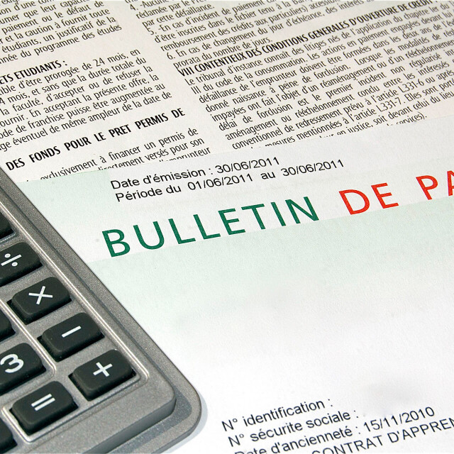 Métier du Zoo : Assistant Paie et Administration du Personnel - Emploi - ZooParc de Beauval - Bulletin de paie avec calculatrice