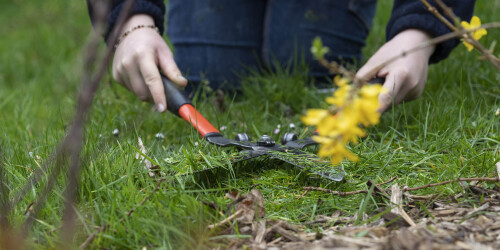 Métier du Zoo : Jardinier - Domaine d'activité : Espaces Verts - Coupe d'herbe grâce à une cisaille