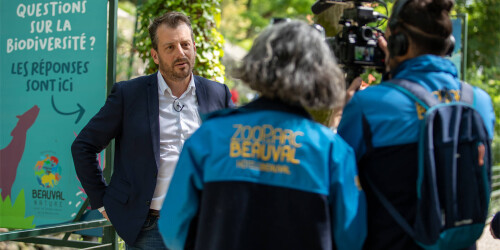Métier du Zoo : Réalisateur - Domaine d'activité : Communication et Education - Deux employés de Beauval interviewant une personne à Beauval