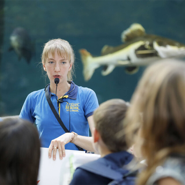 Métier du Zoo : Animateur scientifique - Emploi - ZooParc de Beauval - Animatrice avec un micro discutant avec des enfants devant un des bassins du Dôme Équatorial